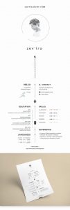 1 Page Resume Template